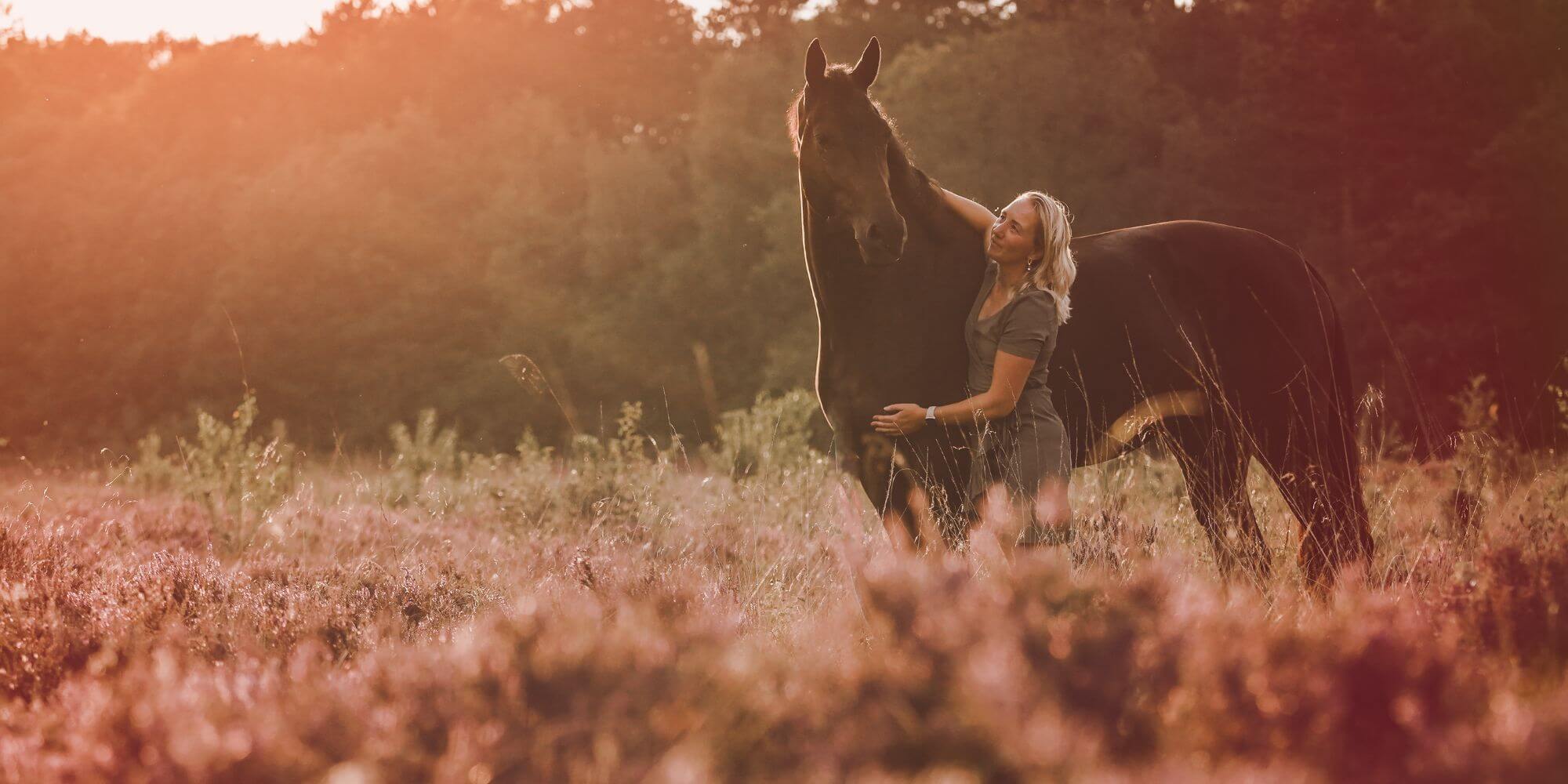 Pagina header paardrijlessen