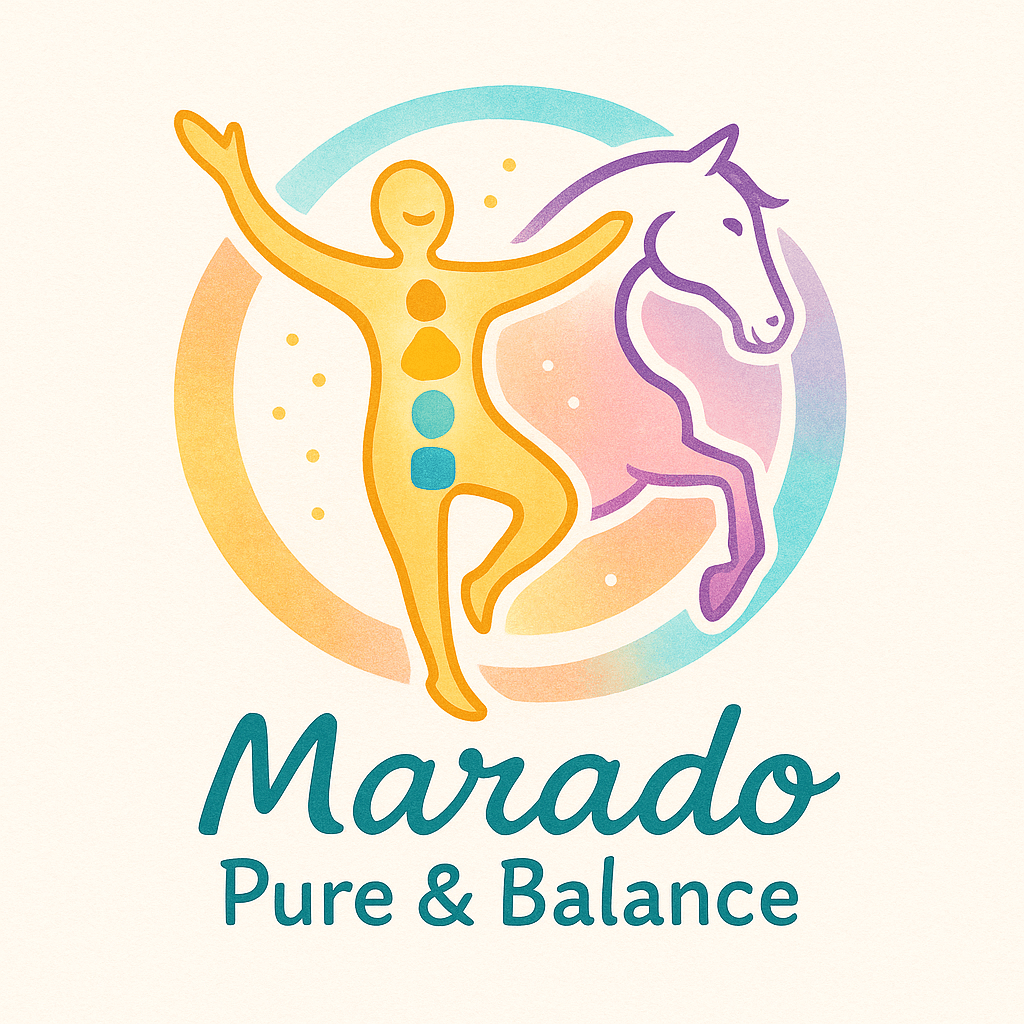 Logo ebook ruiterblauwdruk