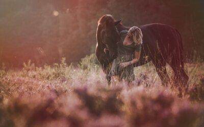 Wat kan er achter het gedrag van je paard zitten?