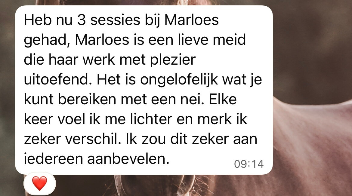 Marloes Oldenhuizing, NEI-Therapie